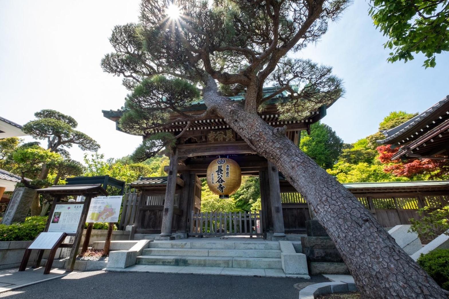Japanese Modern Inn 鎌倉楽庵ハナレ 카마쿠라 외부 사진